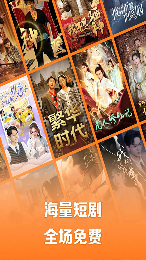 趴在郁金香田里的柴犬歪头特写壁纸